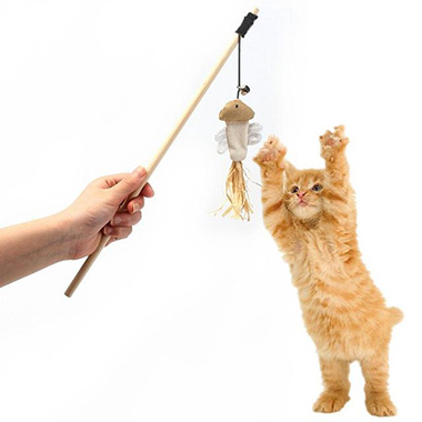 A large inventory of cat toys worth buying